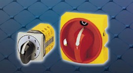 cam and disconnect switches